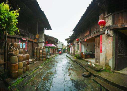 植物大战僵尸